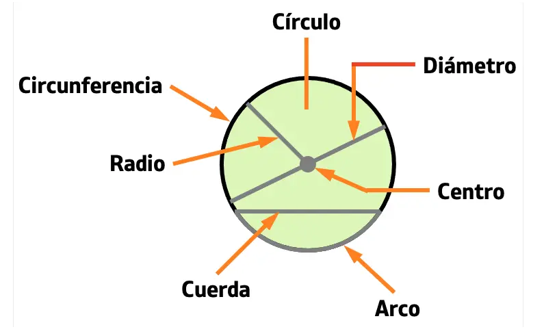 partes de un círculo y una circunferencia